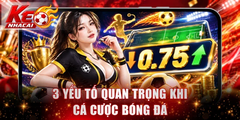 3 yếu tố quan trọng khi cá cược bóng đá