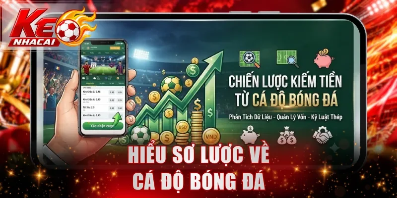 Hiểu sơ lược về cá độ bóng đá