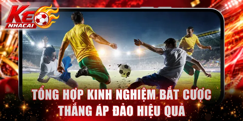 Tổng hợp kinh nghiệm bắt cược thắng áp đảo hiệu quả